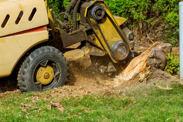 Best Utility Line Clearance  in Grinnell, IA